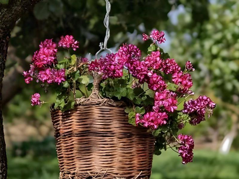 03AF3C7ABB361A06FAE6E2259DCE33BF