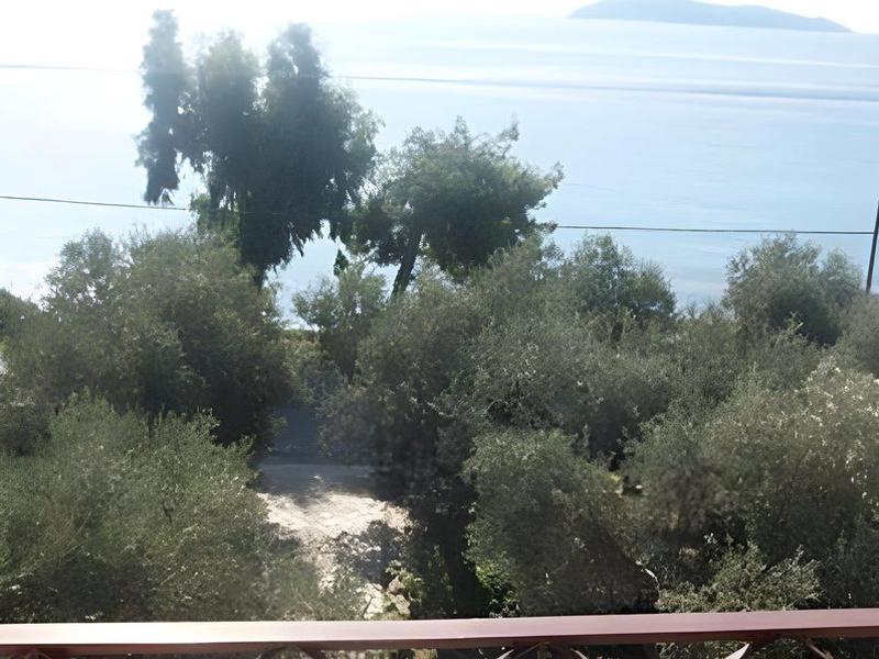 B70388CD39C9B6797A96E5C52B5A7EC0