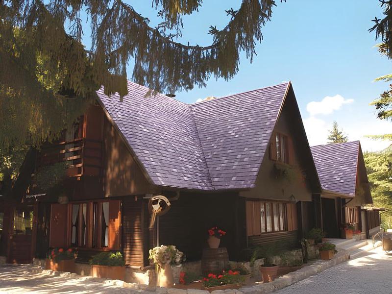 03E62E9A5077C214A18958638442FFCB