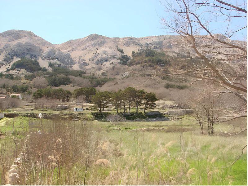 1F18CDAB977AC4B433774700216A8386