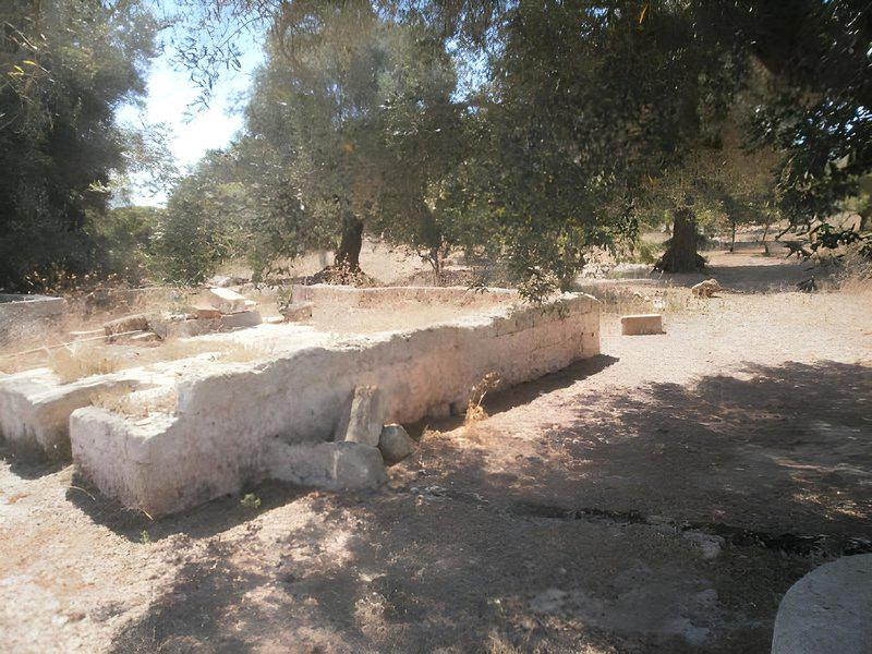 8C1A05AA4B3197AC64C3E559D93EB431