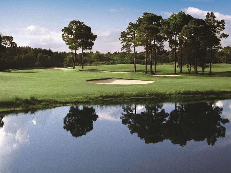 298077870E68F5D517ED1266E2E7E1D7