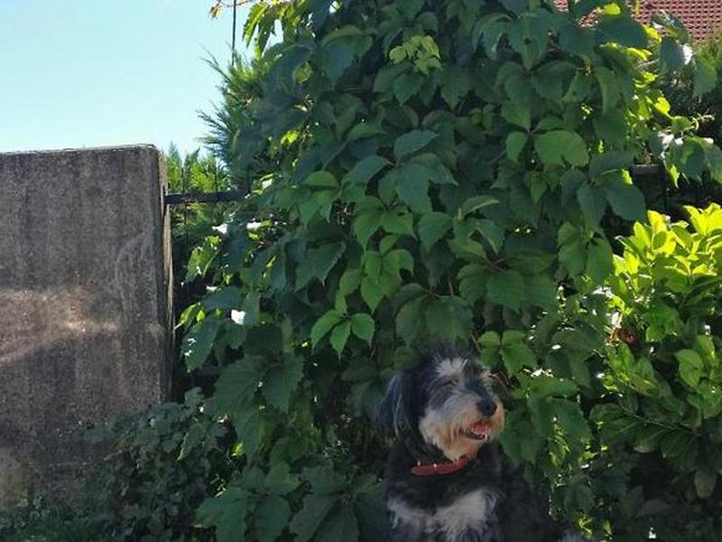 8D80E3AF5B631FE5FADB0DE5A7925A1D