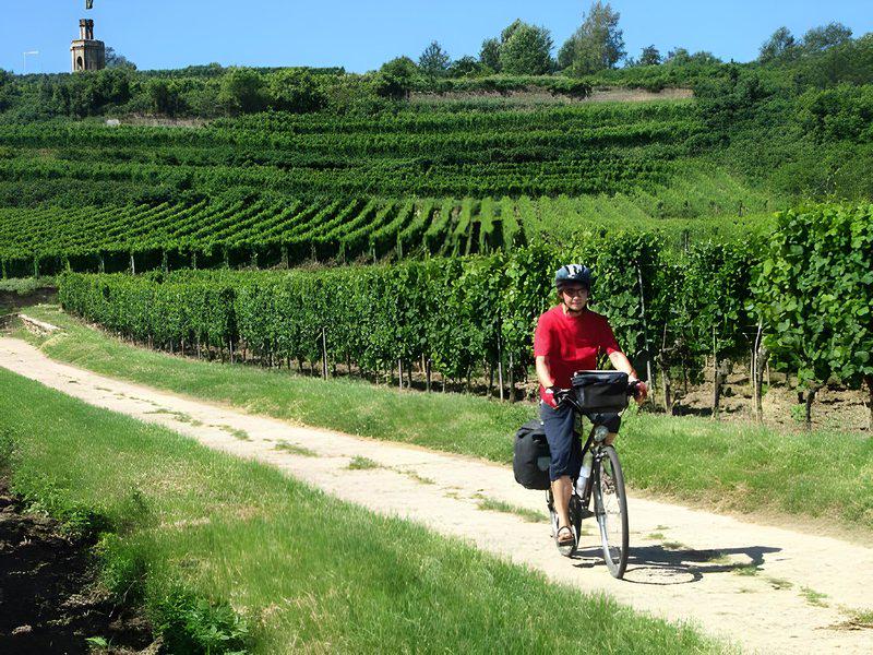 F230910BAC1AE5DABE5CF9B44464C5C5