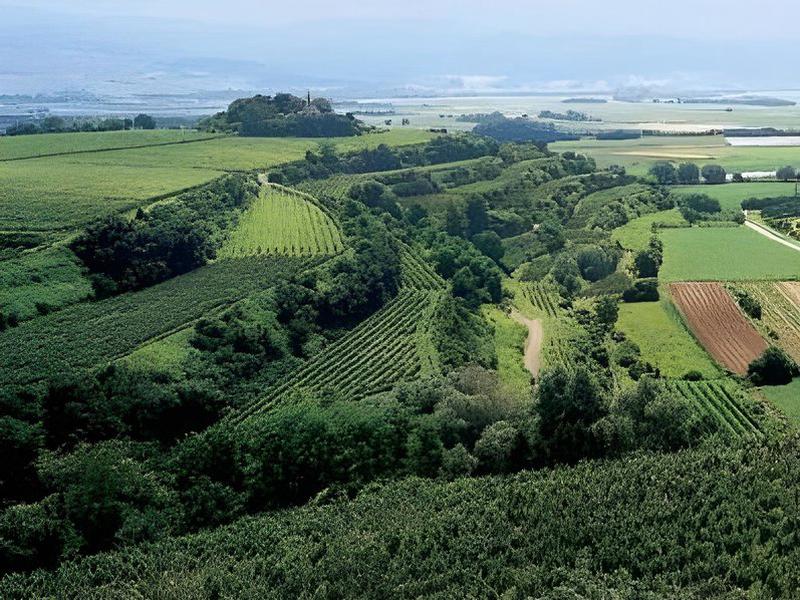 D3A66B7EA982B0999355DA006482FED3