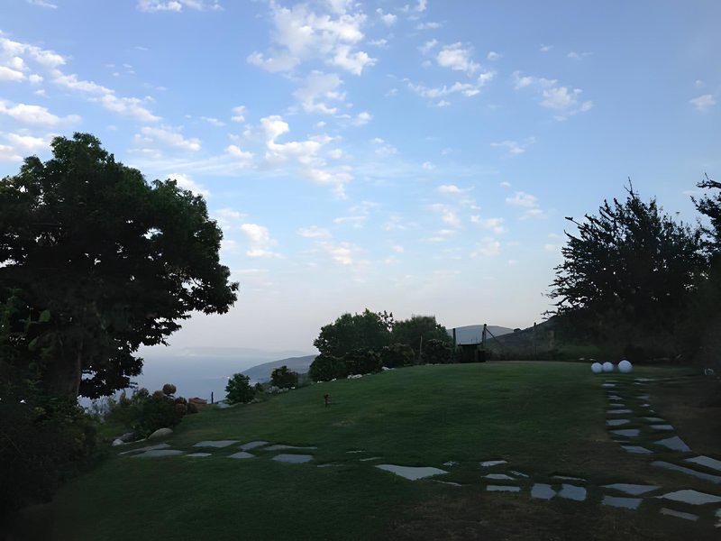 729B3ABA6D0F50EA94519D9A37D68D03