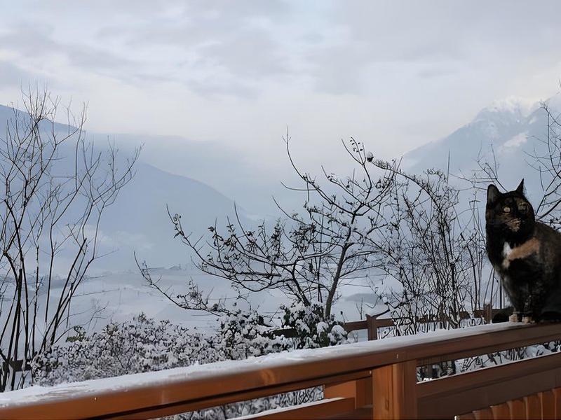 2D773FB06E0F34806B1E3899214A89F9