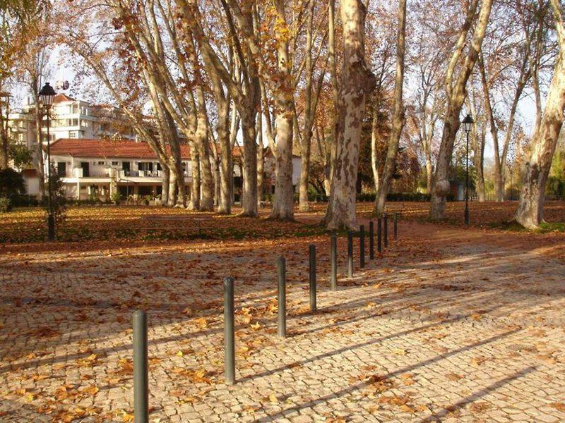 5C374073629CDC580DC2A36D857D4025