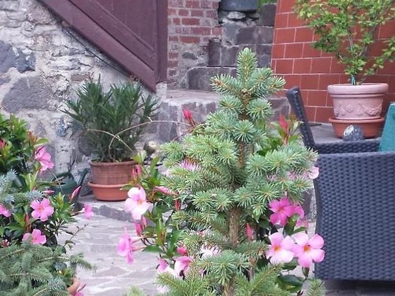 Pension Felseneck Zur Bodehexe