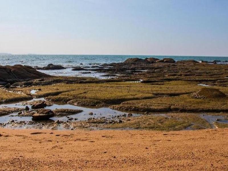 0592020B0A40438924B48662C0763C73