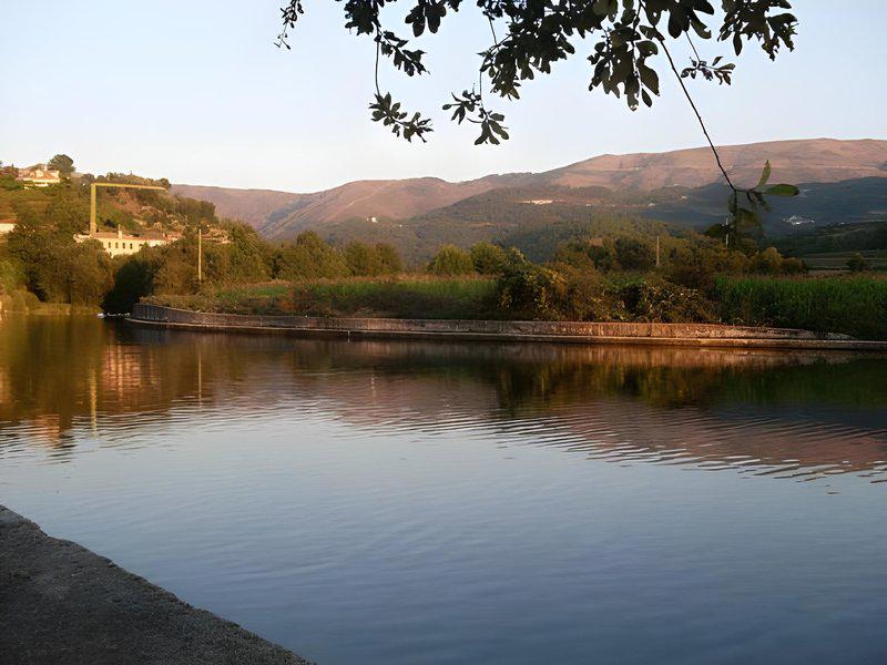 22A19BB99171AA12B1D1456387FBC422