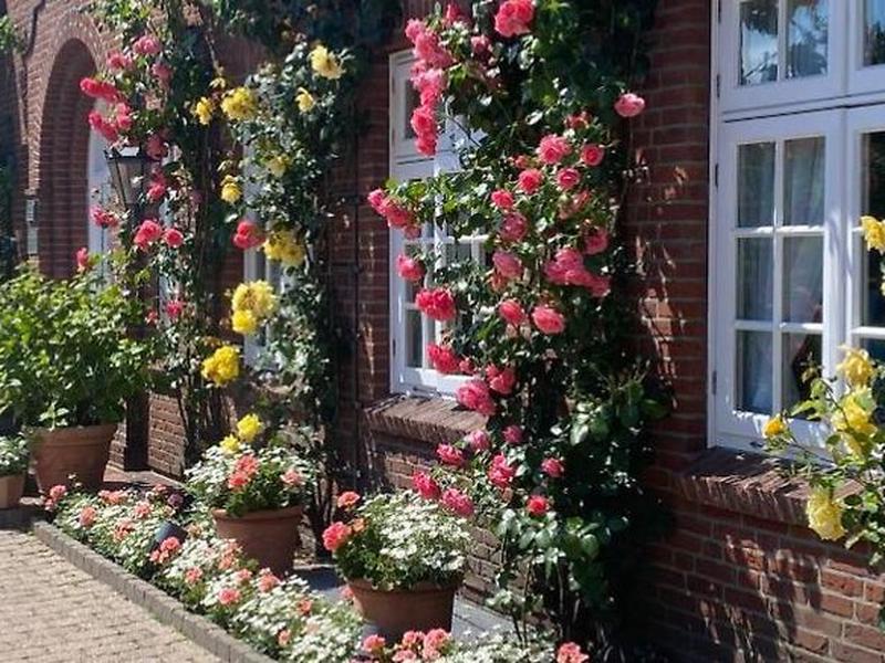 44C69682554AF2EDCA174018FB835CF2