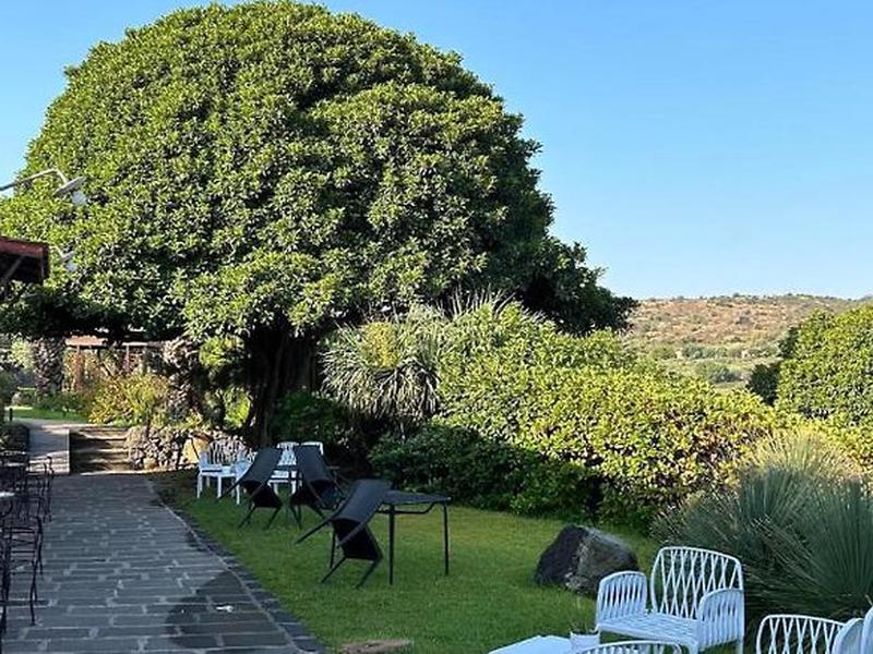 D65915D1BA0DDBC5638B91D1577B039B