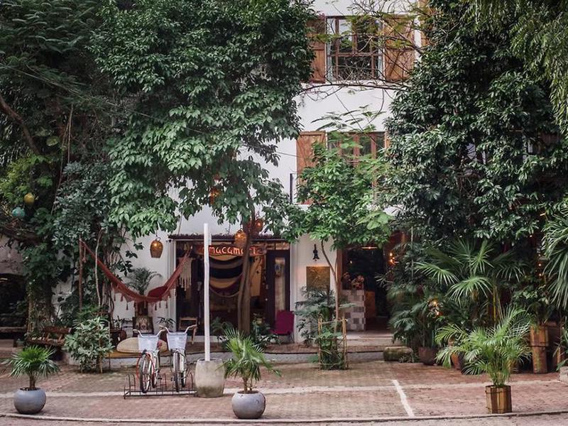 271B68AB991EA775599C49CC362D811C