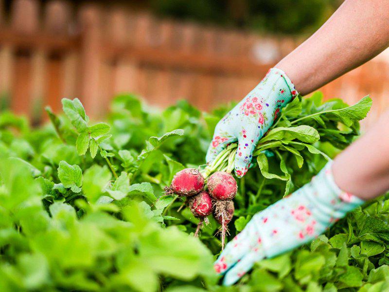 F6CBCBB698163463B60415C69CC4E18E