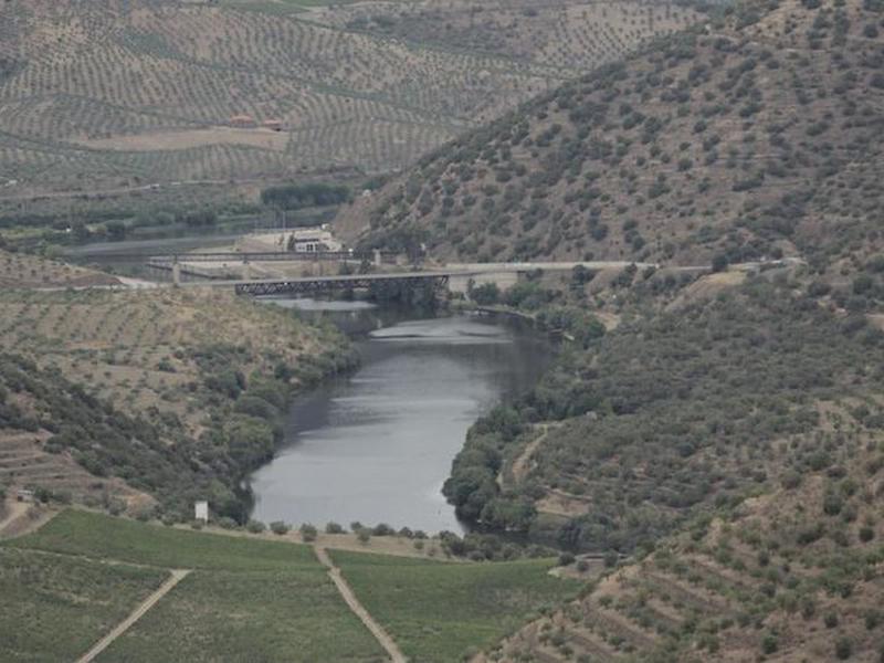 1DB0BB45226EB1C31497154D4C7FEC03