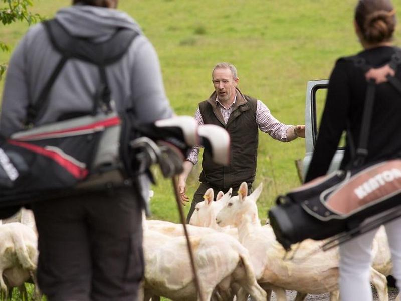 F5BD76554189A015EDEBEE7944C544B3