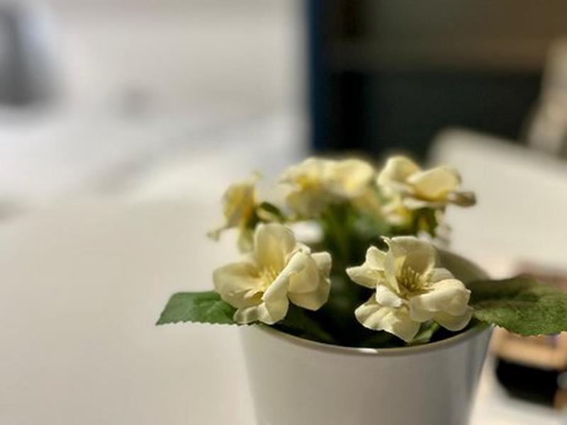 4BD1816AF3E6FE51783F1FCC2D716649