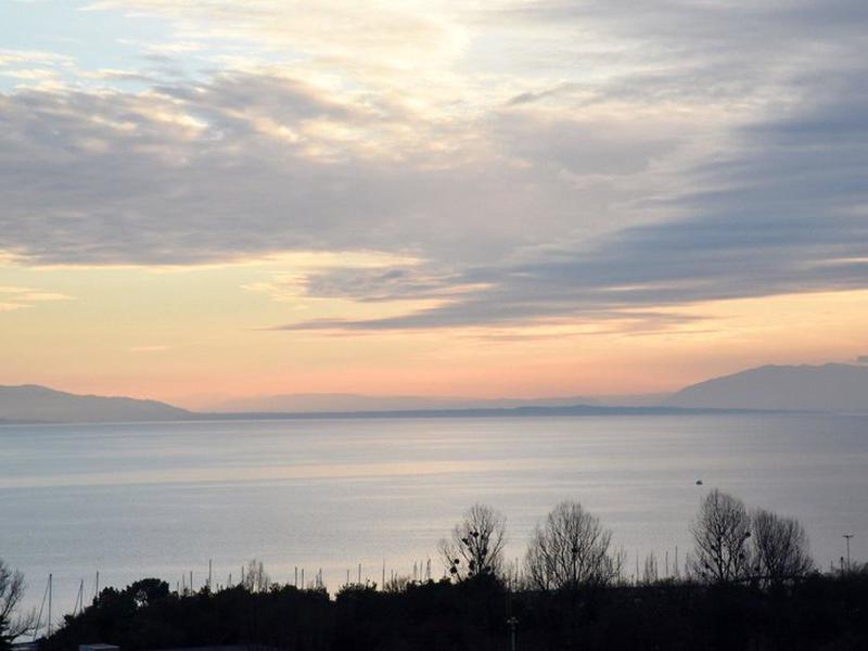 03A31A6E438C9DC09089F48919E72A9D