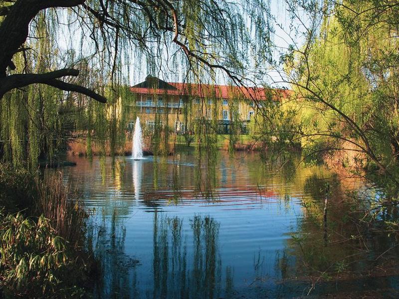 1A195E1A039DC6BFE8A85C771B2F7513