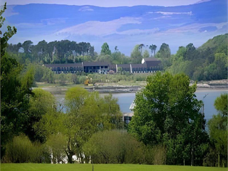 8A031CD0E0B9E494B78D6B8C9AD52217