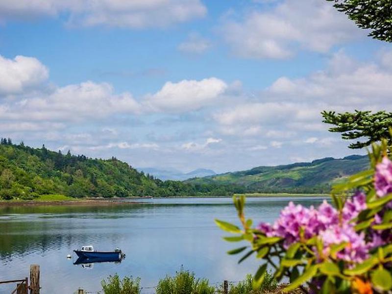 068885ED211A30D109EE9B45F2C7EBB4