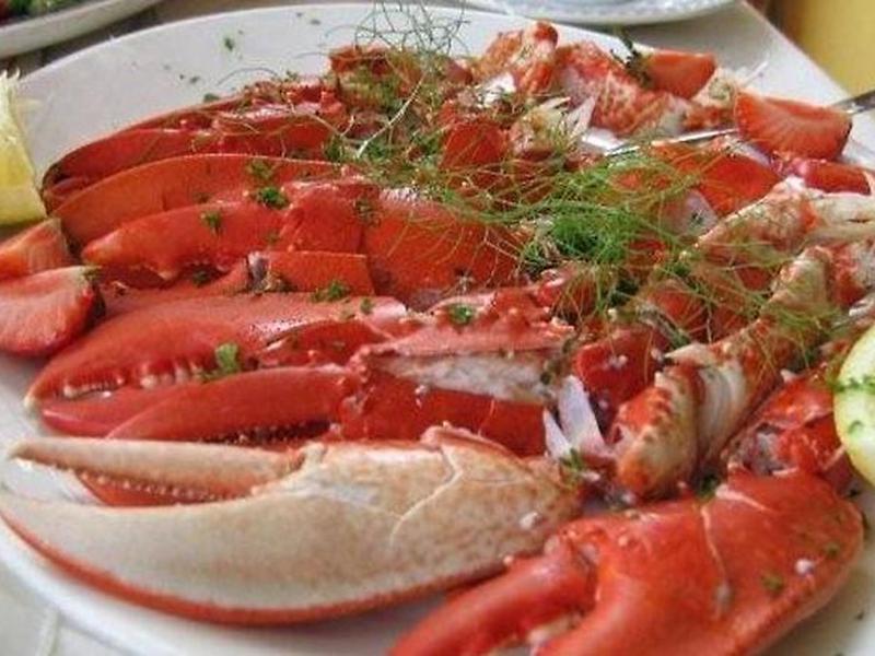 D0272A813603EF3A5ADAD301A0F473AE