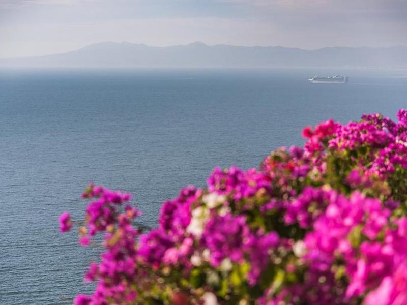 8A5F532A9B26FD53CA235AC9A64805E0