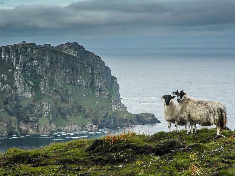 37DA4547F39B75497123616A37844189