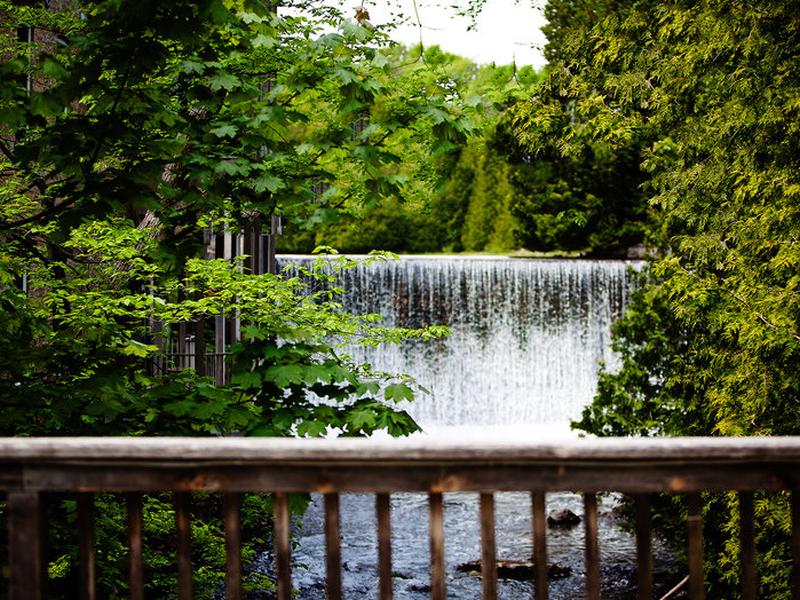 7B4F66ACA9255C72D981C56F58D51362