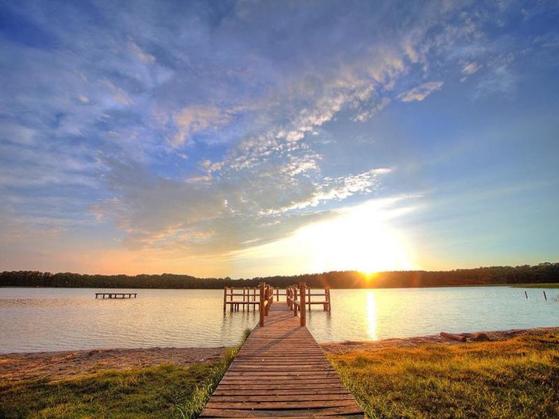 03CE8C8CC767293C438BEA6F7335F79F