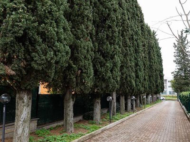 48BCE974A0246BBFF2430B09F3905D35