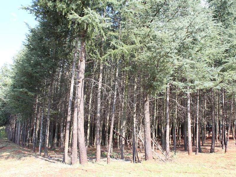 5D966579890B307C0D77B20D2B569EC6