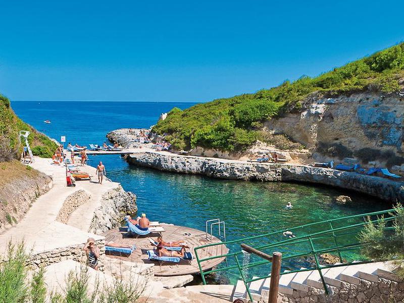 B19EF217E62FD5D733A7CF8A5B2F29D5