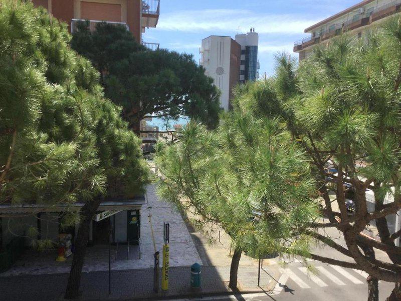 FE6B9ED76BA07346CC731F79483AD54F