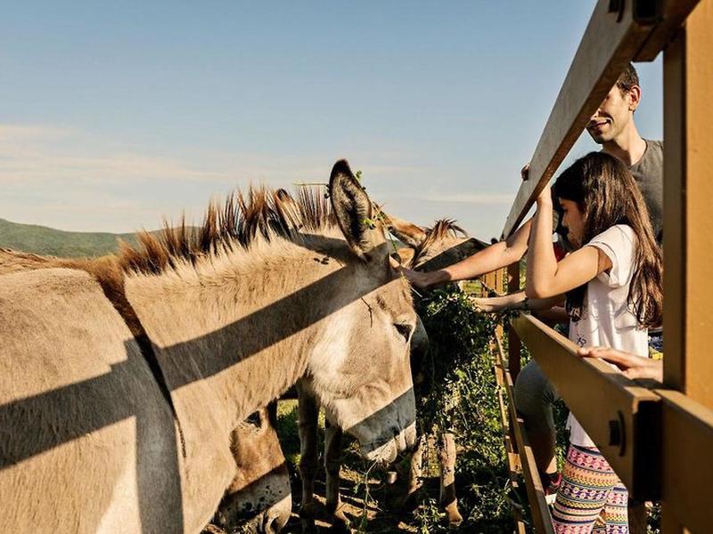 7E01F874F4551B83C65CA6C832D9E2BD