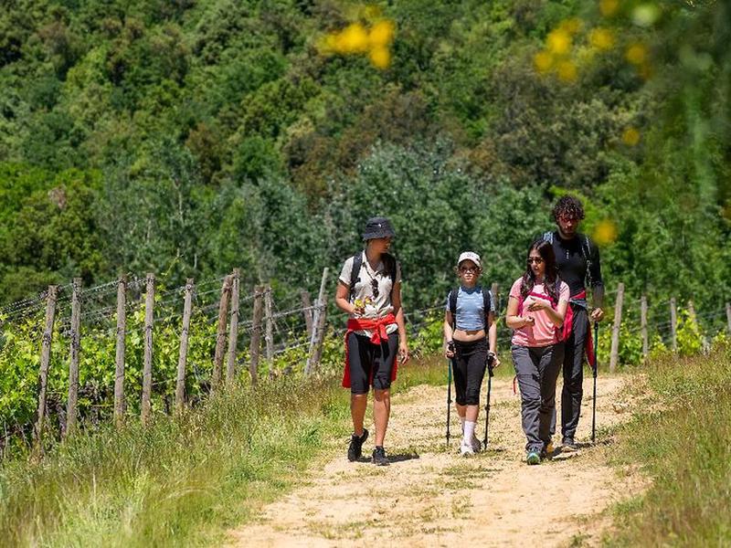 47EFFCEAE1FDDB91E88C94814939B7BB