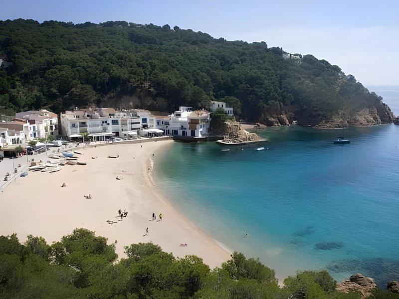 ACCC0096694B035C0252CE7BC8EE22C3