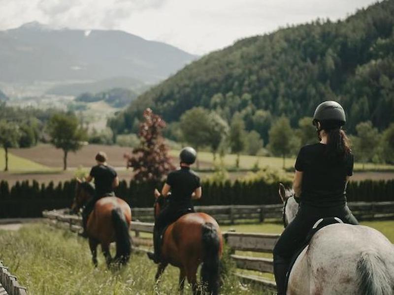 ECD2490E20372A39E0CDB4881D418001