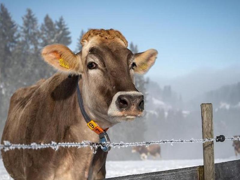 C0E03FE1D1B8ACF4CF2FA32E2317D0EC