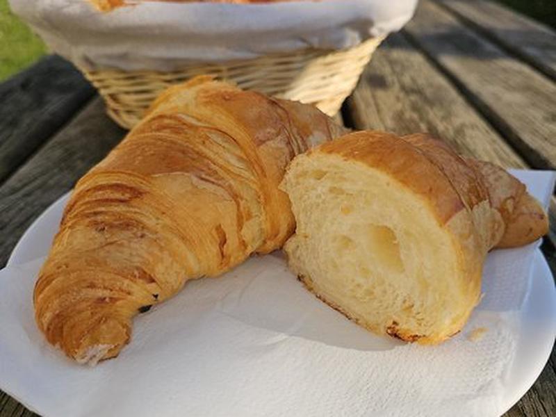 8160EED578388625D7B019D4E5C50545