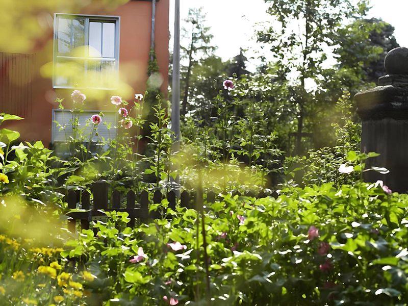 C11D00437100FB94EA2AE6C5653FD99F