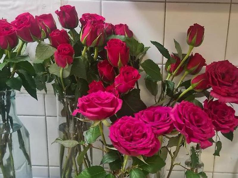 655E094818AD47090CDAE279321BF0F1