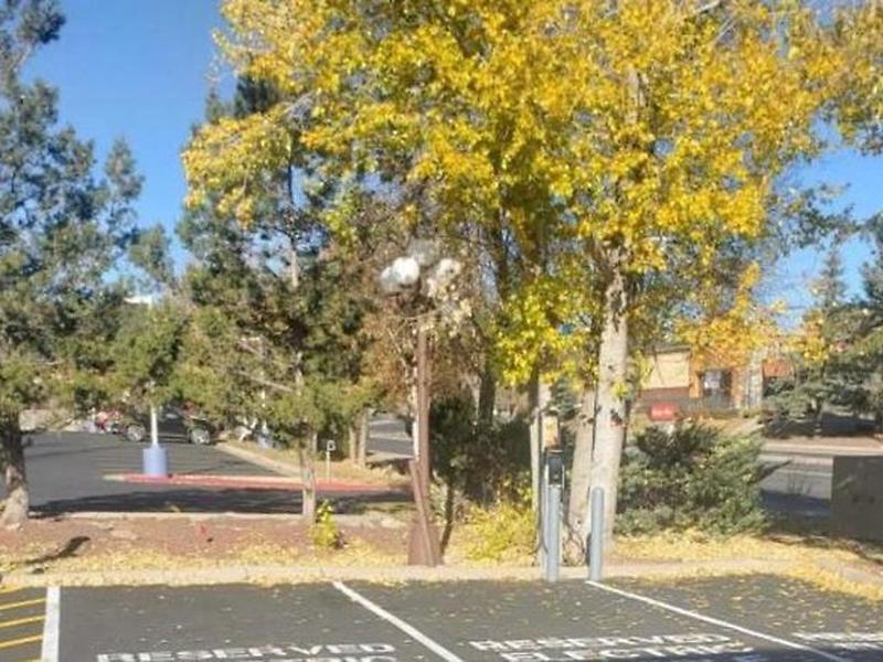 BD090E1F67FB7F7C6C1A288257E9019D