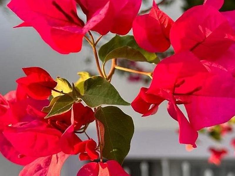 BCB3C0D2B3AC12083ED685F996C8C94A