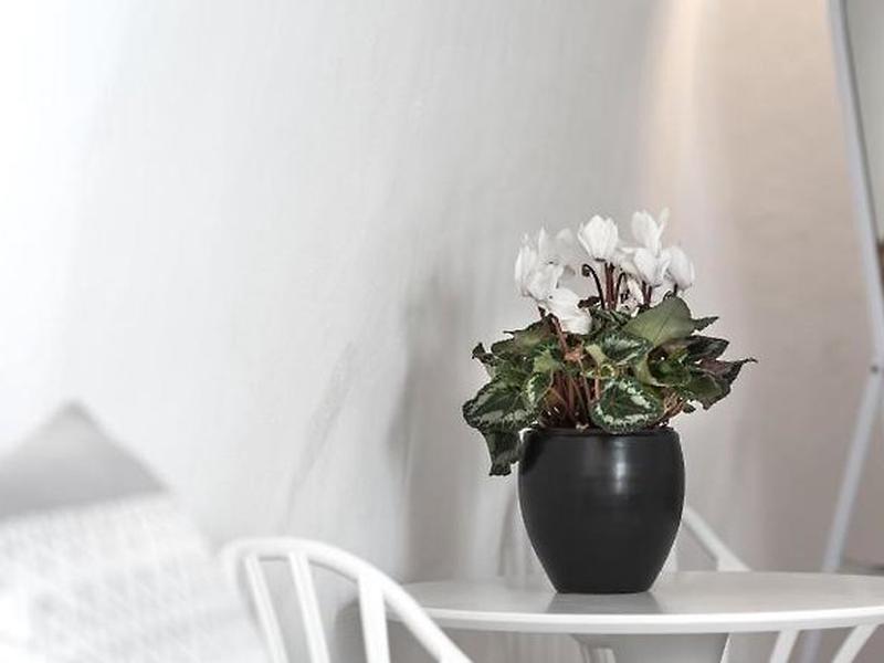 B0D31A7BA8E506872C676AA926EB2D2F