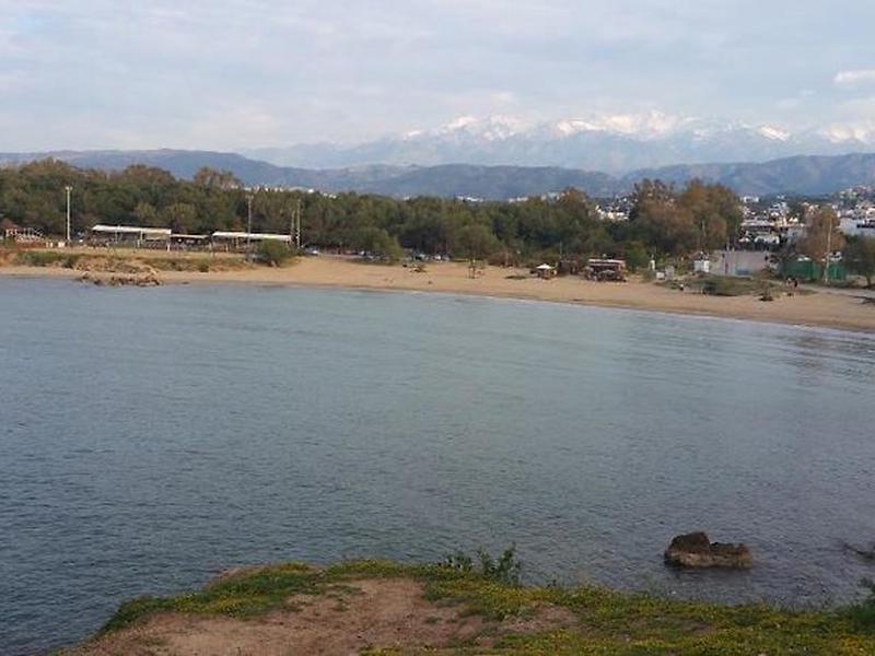 F1E2ADA3154E0B2A2D8977B63411B4FF