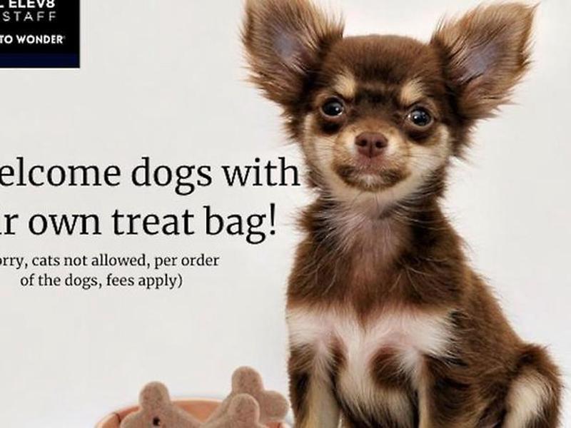 2EFF15FD2162CD96D6E1A048B8165744