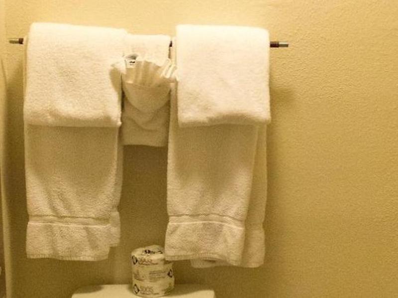 59E0ADAE02BCA923889AB6F461B5A9ED