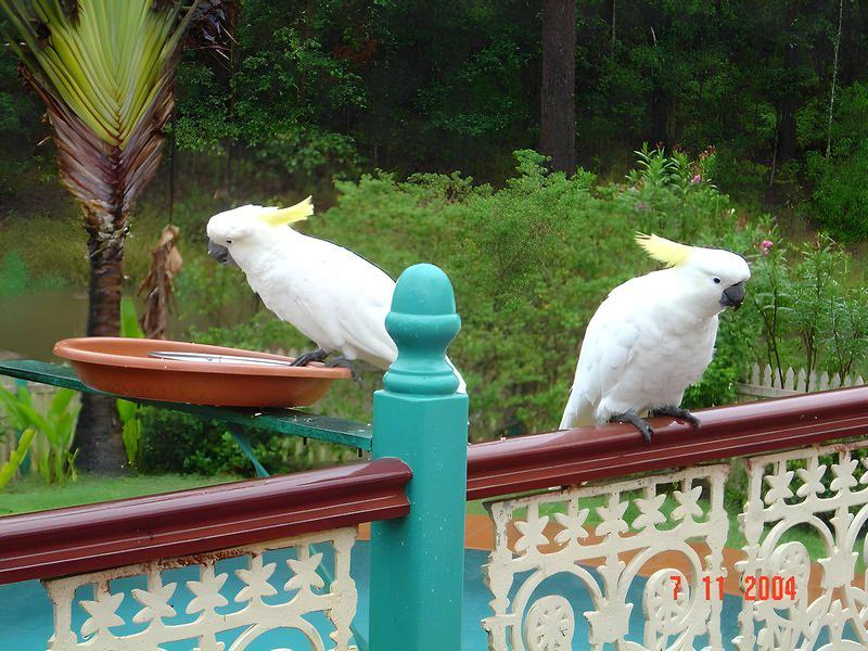 8BB145FD974F408EAAABDA733EAB9DE8